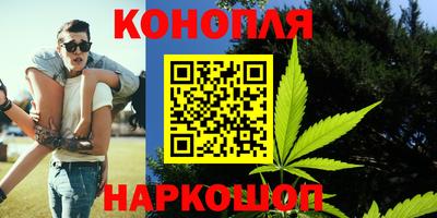 гидра Нальчик