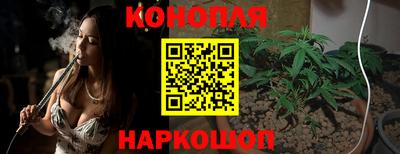 гидра Нальчик