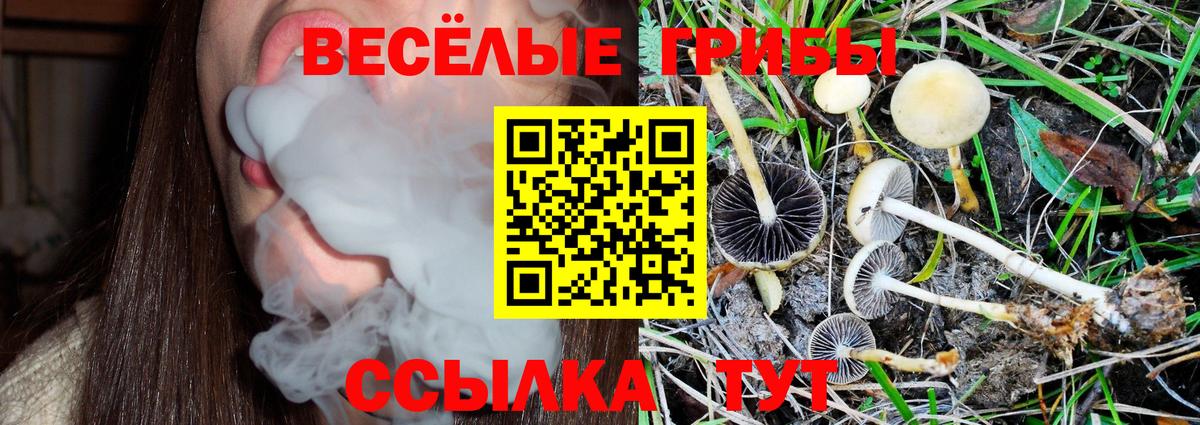А ПВП Усть-Илимск