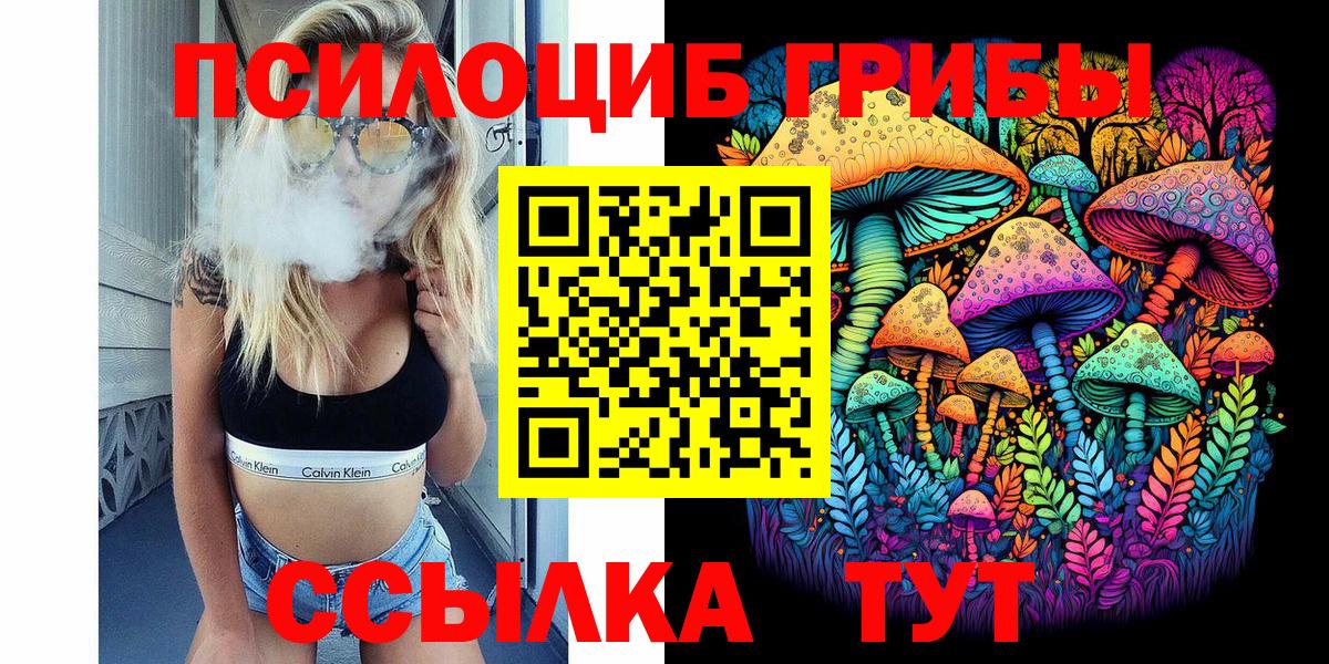 закладка  Вход с VPN  Усть-Илимск  Галлюциногенные грибы Psilocybine cubensis 